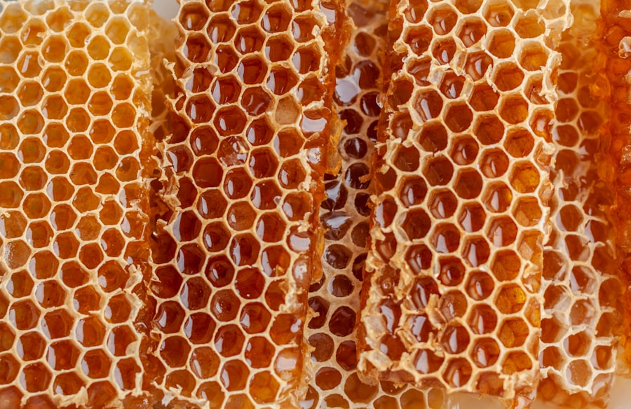 Honey extraction day